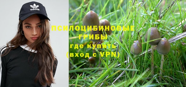 jwh Нязепетровск