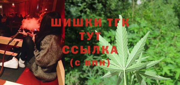 молекула духа Няндома