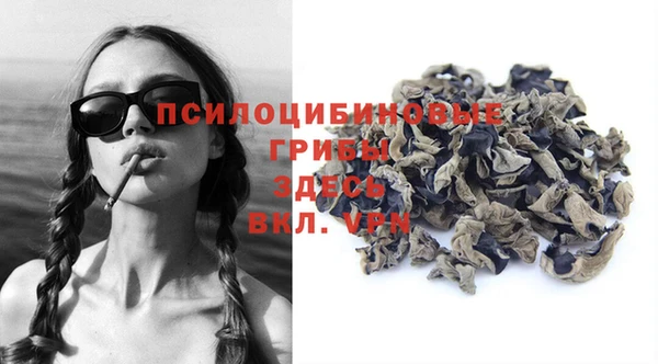 спиды Абаза