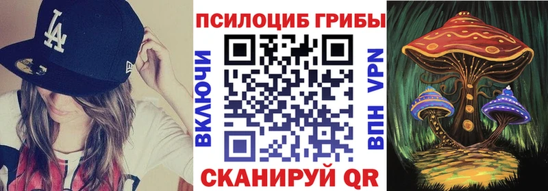 Псилоцибиновые грибы Magic Shrooms  закладки  Моршанск 